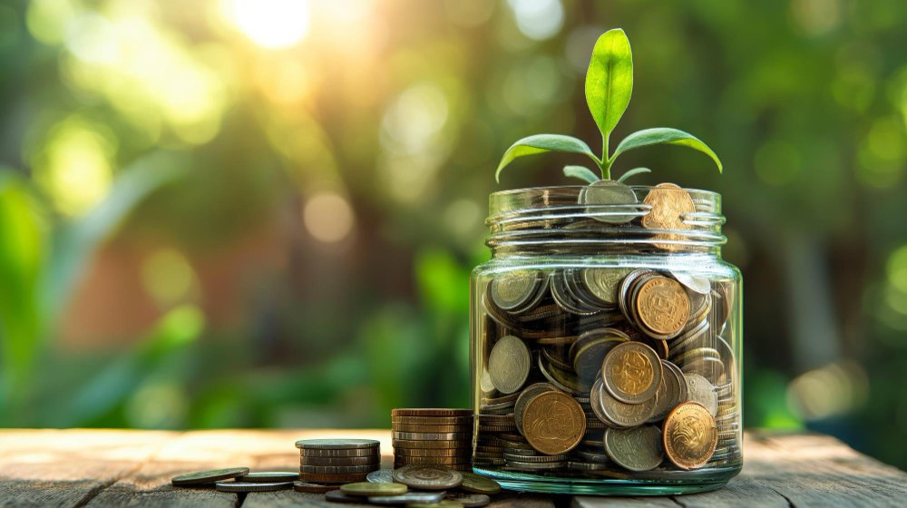 Mutual Funds: Your Path to Wealth Creation